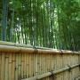 A bamboo fence behind Kinkakuji the Temple of the Golden Pavilion Kyoto. Photo by JL, (c) ASC