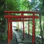 A series of red torii gates outside of Inokashira Benzaiten shrine Tokyo. Photo by JL, (c) ASC