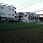 Apartment buildings and vegetable field Tokyo. Photo by JL, (c) ASC