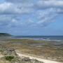 Okinawa shoreline. Photo by JL, (c) ASC