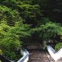 Walkway up to a mountain shrine Nara. Photo (c) KV, all rights reserved