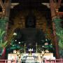 The Daibutsu of Nara's Todaiji Temple seated at the altar. Photo by JL, (c) ASC